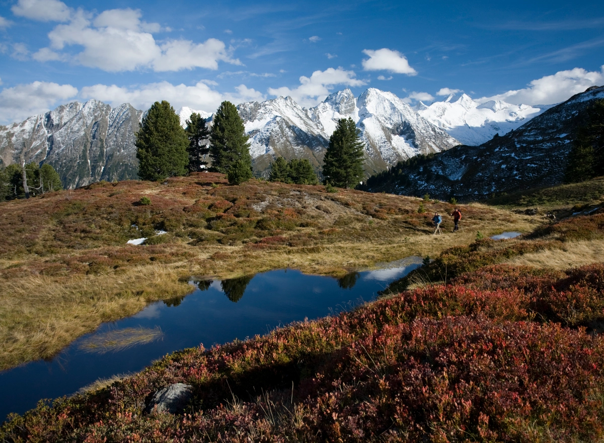 Goldene Berge Herbstangebot